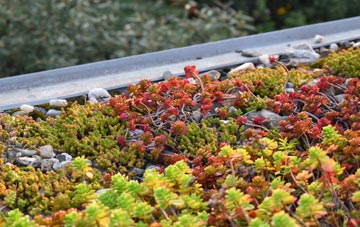 the cost of Dassels green roof installation