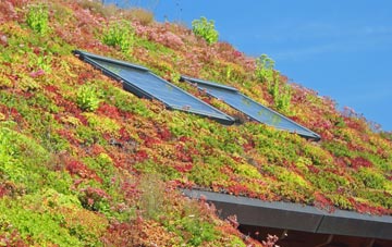 Dassels living roof systems