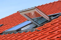 Dassels roof window